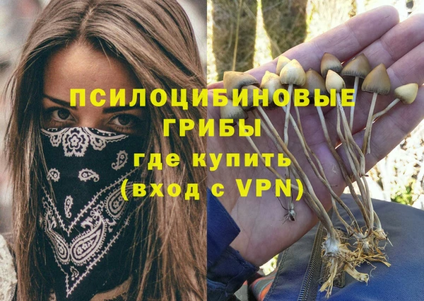a pvp Абаза